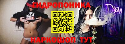 дмт Брянск