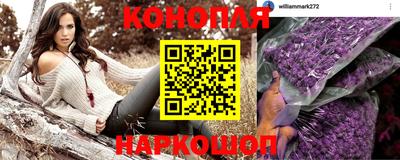 дмт Брянск