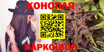 дмт Брянск