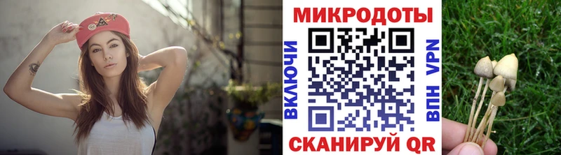 Псилоцибиновые грибы ЛСД  hydra сайт  Канск 