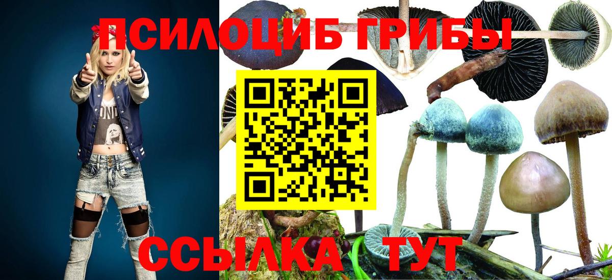 Канск  Галлюциногенные грибы Psilocybe  Вход с VPN  Галлюциногенные грибы Psilocybine cubensis 
