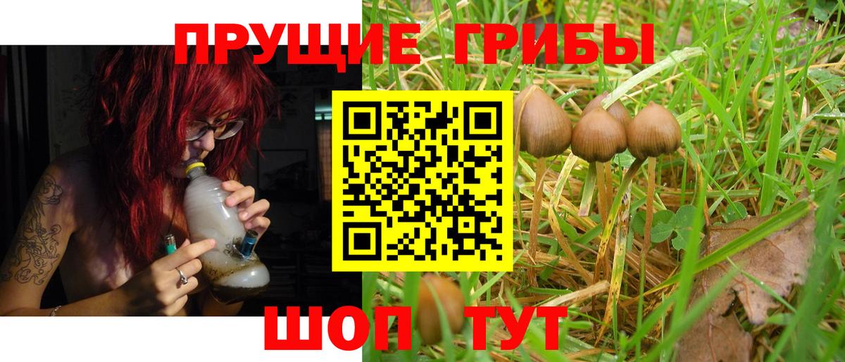 Псилоцибиновые грибы мухоморы Канск